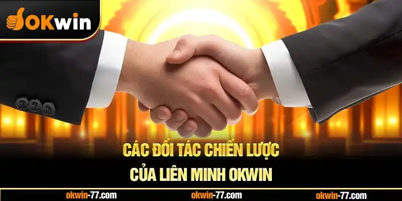 Các đối tác chiến lược của liên minh OKWIN