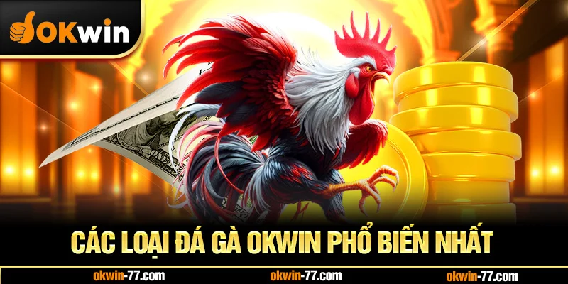 Các Loại Đá Gà OKWIN Phổ Biến Nhất