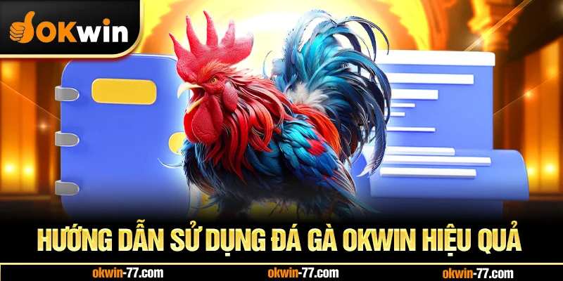 Hướng Dẫn Sử Dụng Đá Gà OKWIN Hiệu Quả