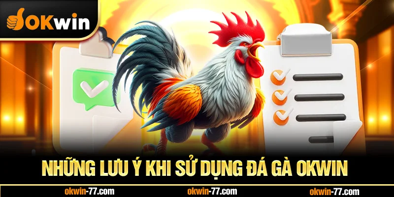 Những Lưu Ý Khi Sử Dụng Đá Gà OKWIN